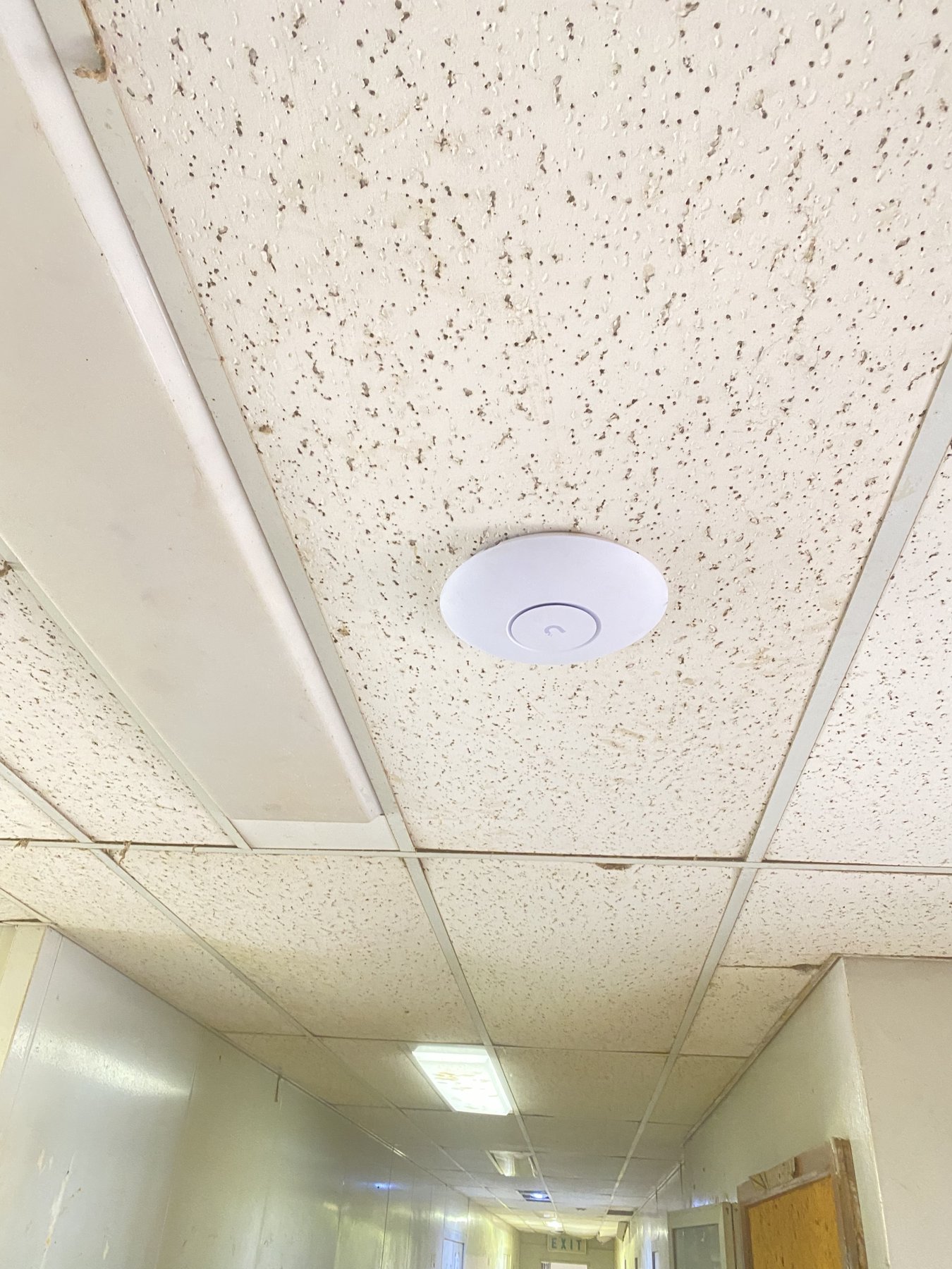 A wireless access point installed on a suspended ceiling.